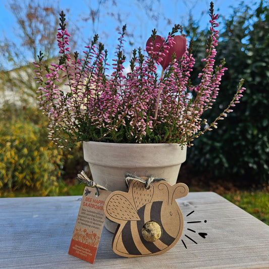 Bienen Saatbombe