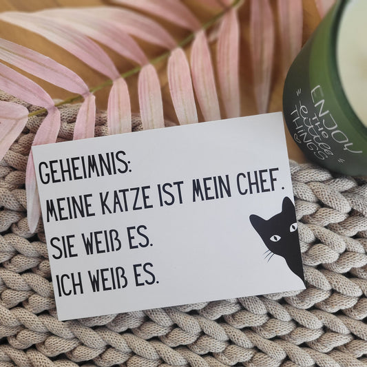 Chef Postkarte