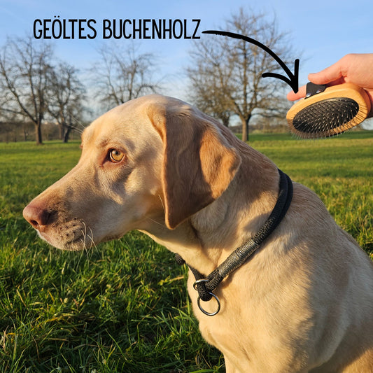Striegel Hundebürste