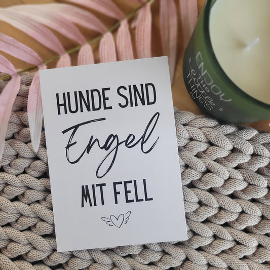 Hunde sind Engel Postkarte
