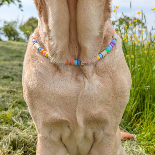 Hundekette mit EM Keramik "Kunterbunt"