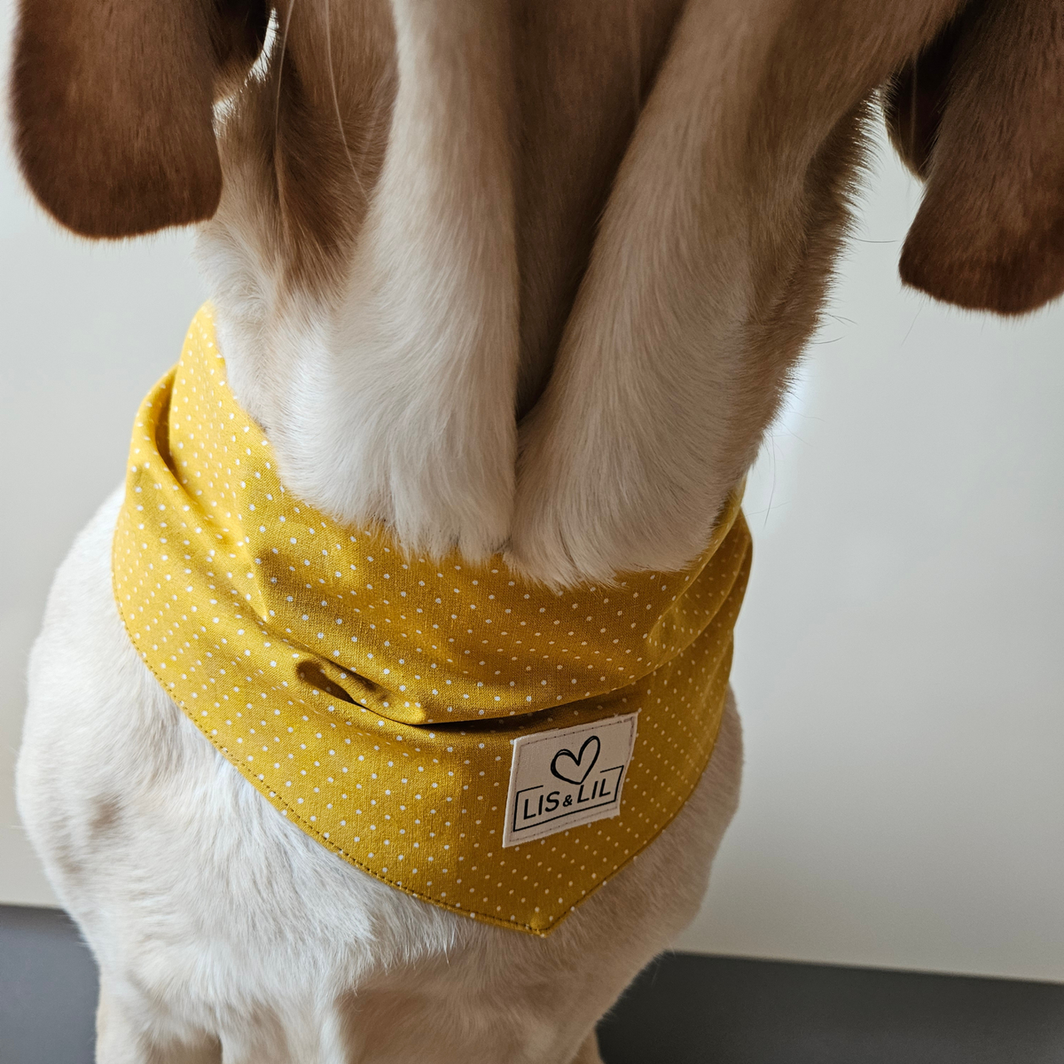 Halstuch für Hunde "Honigpünktchen"