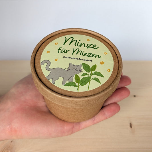 Minze für Miezen