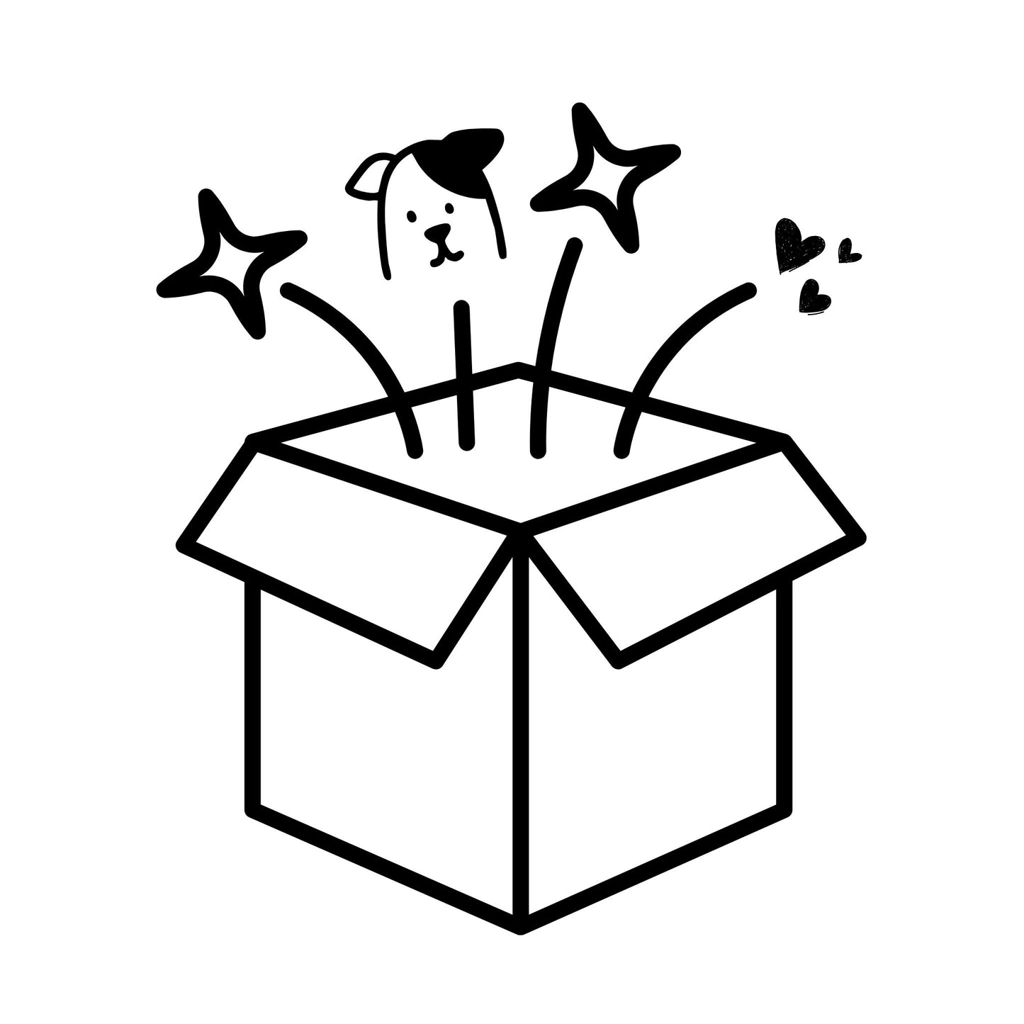Schnupperbox für Hunde