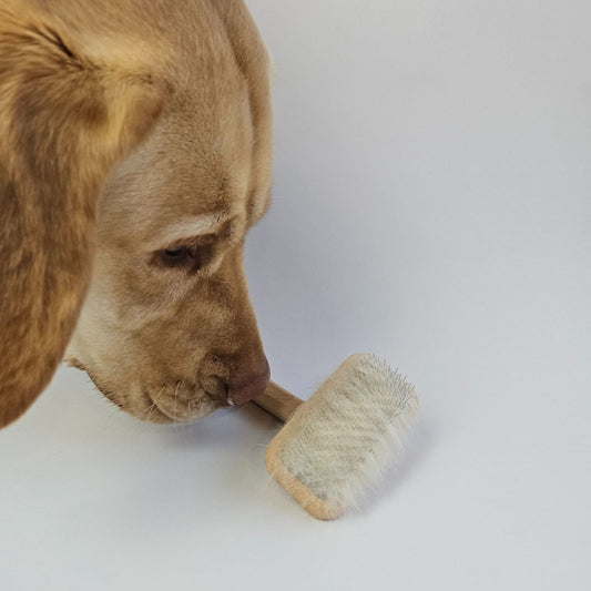 Unterfellbürste für Hunde und Katzen - 20% Rabatt