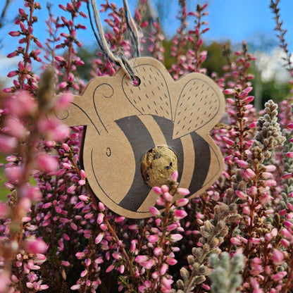Bienen Saatbombe