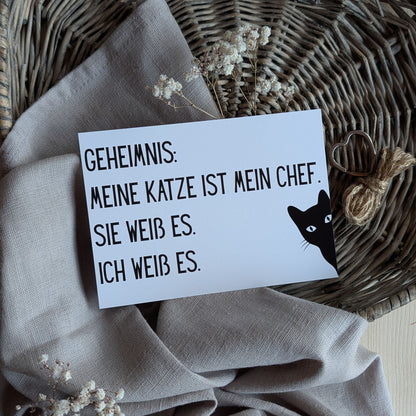 Chef Postkarte