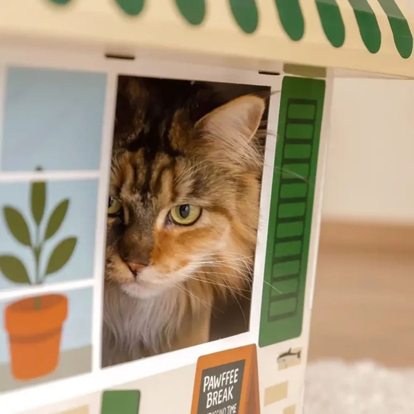 Coffeecat Café Katzenhaus mit Kratzfläche