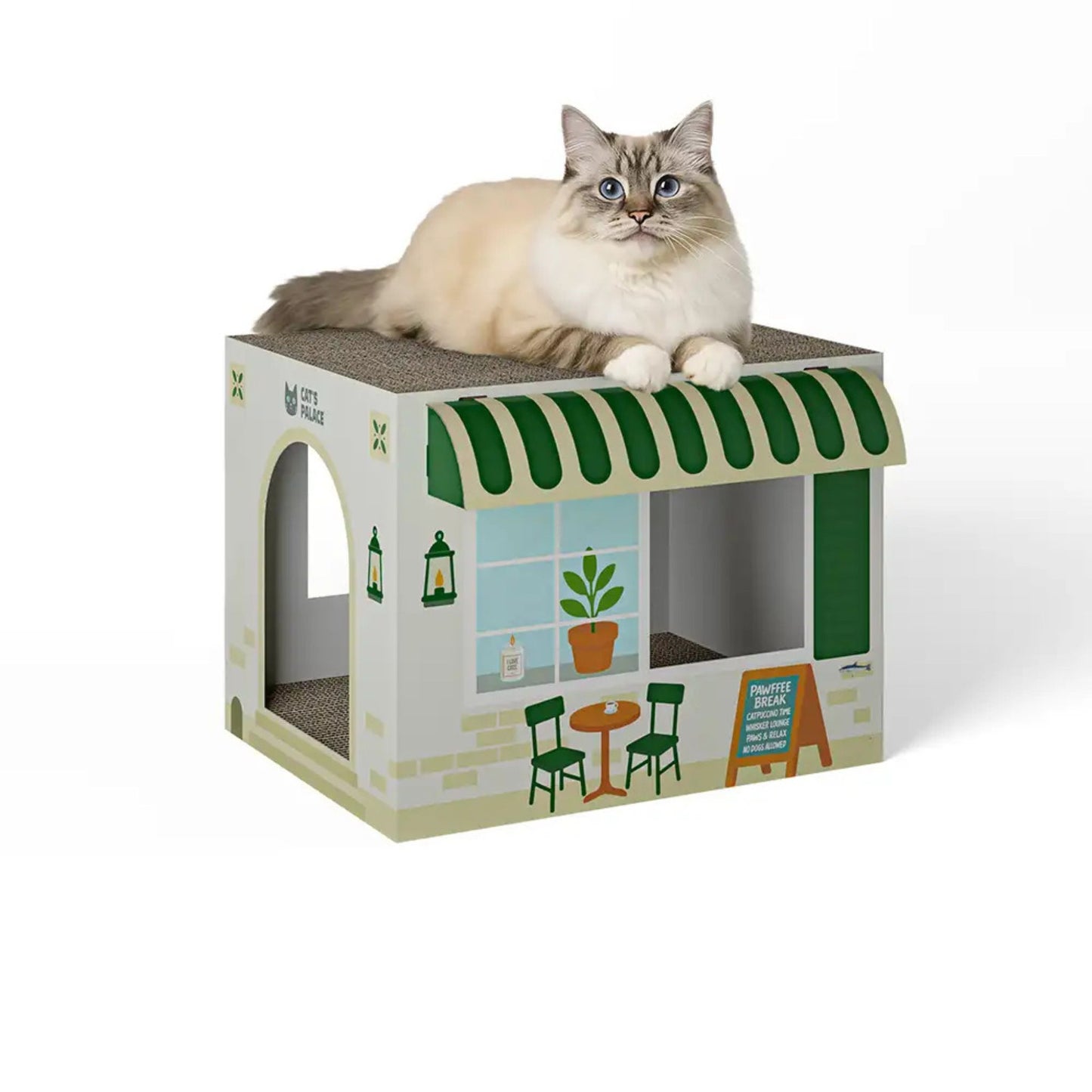 Coffeecat Café Katzenhaus mit Kratzfläche