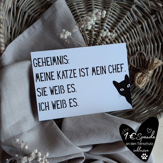 "Chef" Postkarte