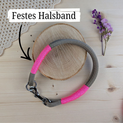 Hundehalsband beige - neonpink