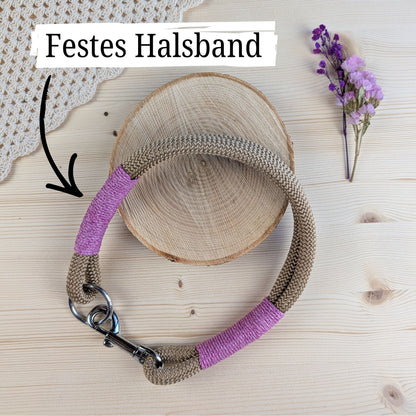 SET aus Leine und Halsband goldbraun - rosa