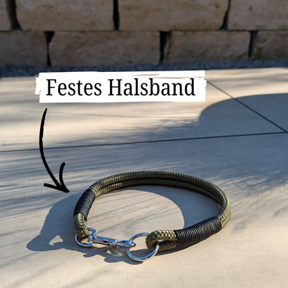 SET aus Leine und Halsband olivgrün - schwarz