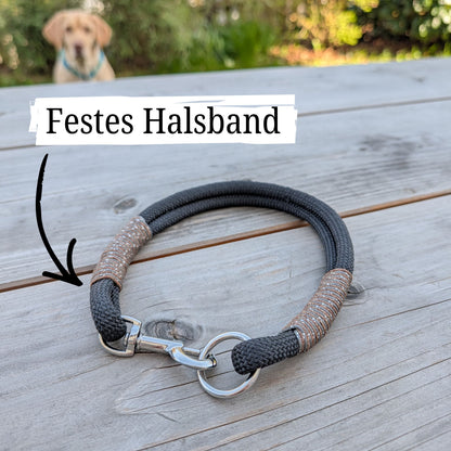 SET aus Leine und Halsband schwarz - braun/silber