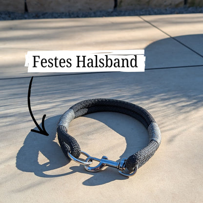 SET aus Leine und Halsband schwarz - silber