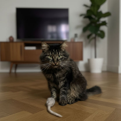 Filzmaus mit Katzenminze