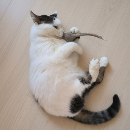Filzmaus mit Katzenminze