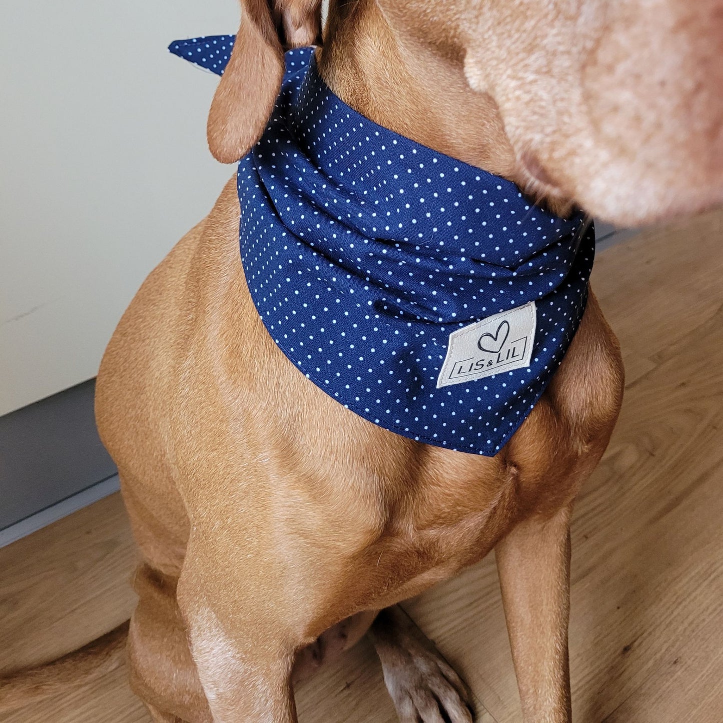 Halstuch für Hunde "Meerespünktchen"