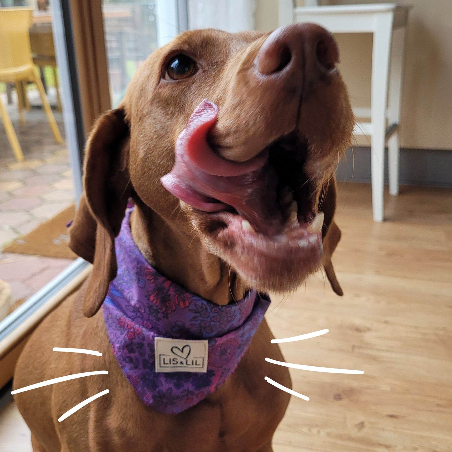 Halstuch für Hunde "Lila Zauberblüte"