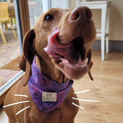 Halstuch für Hunde "Lila Zauberblüte"
