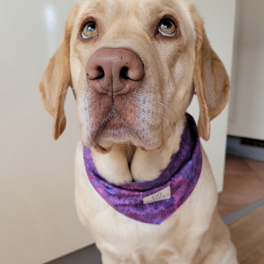 Halstuch für Hunde "Lila Zauberblüte"