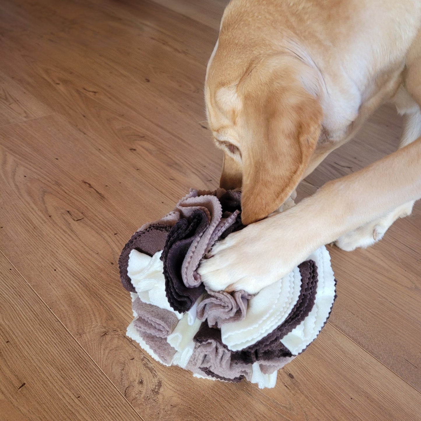 Schnüffelball für Hunde und Katzen