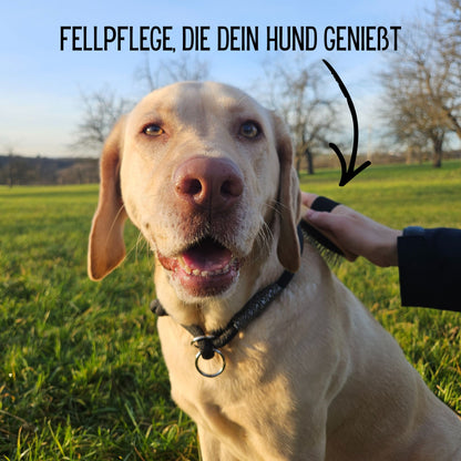 Striegel Hundebürste