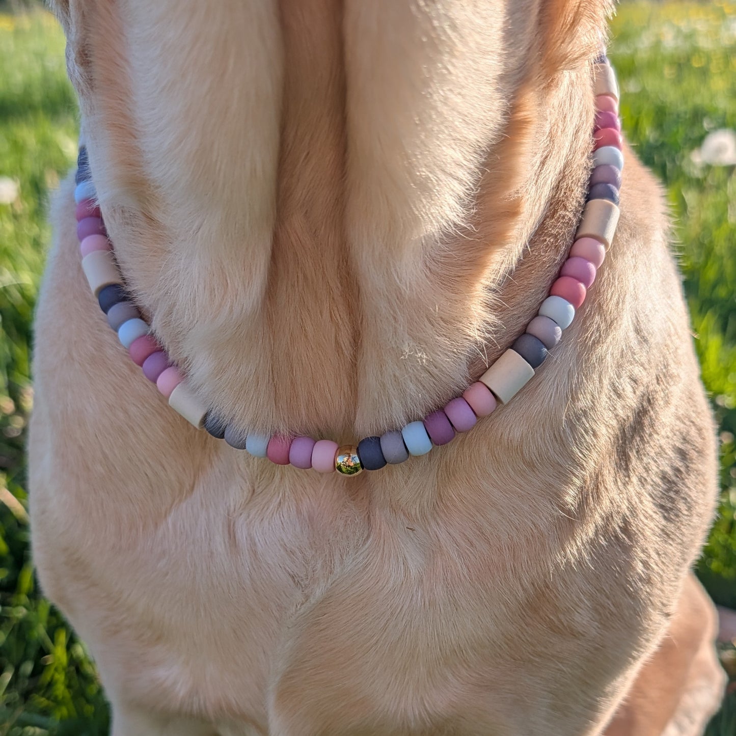 Hundekette mit EM Keramik "Pastell"