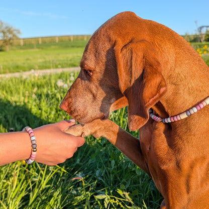 Hundekette mit EM Keramik "Pastell"
