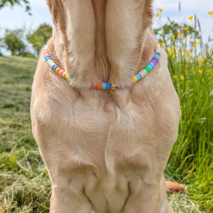 Hundekette mit EM Keramik "Kunterbunt"
