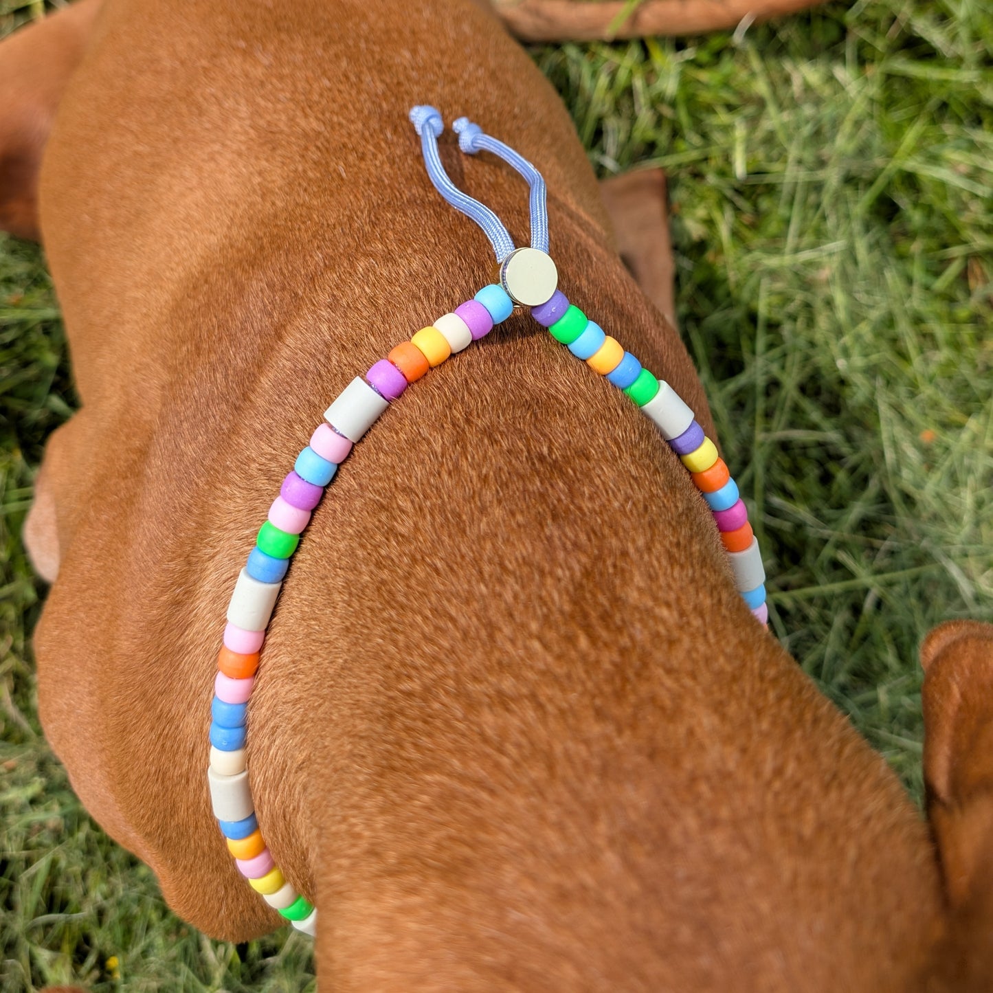 Hundekette mit EM Keramik "Kunterbunt"