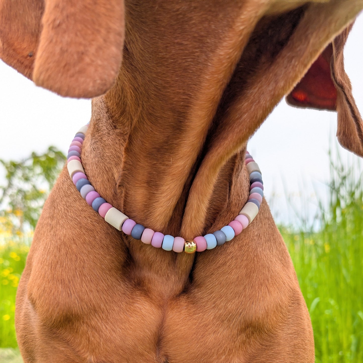 Hundekette mit EM Keramik "Pastell"