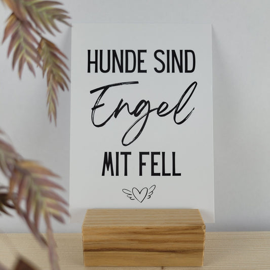Hunde sind Engel Postkarte