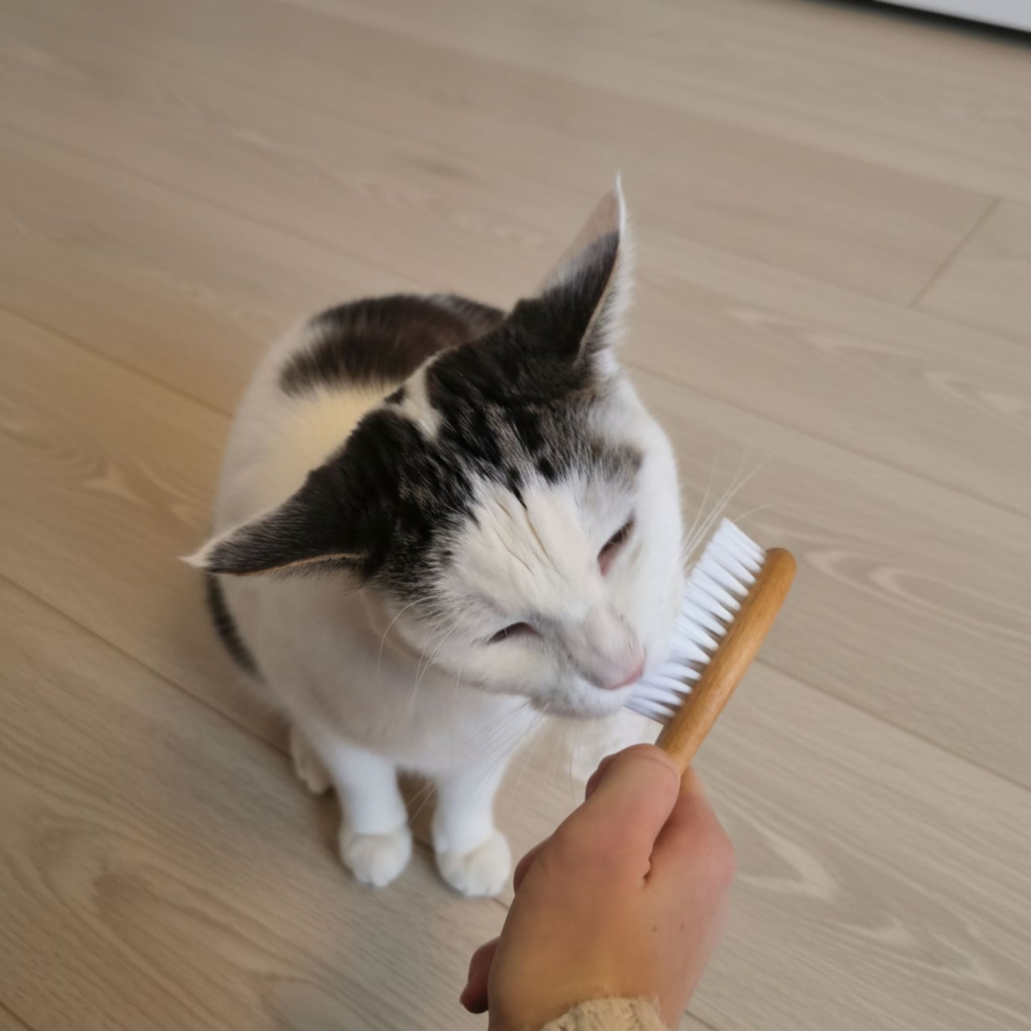 Fellbürste für Katzen