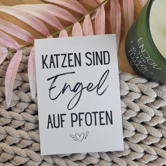 Katzen sind Engel Postkarte