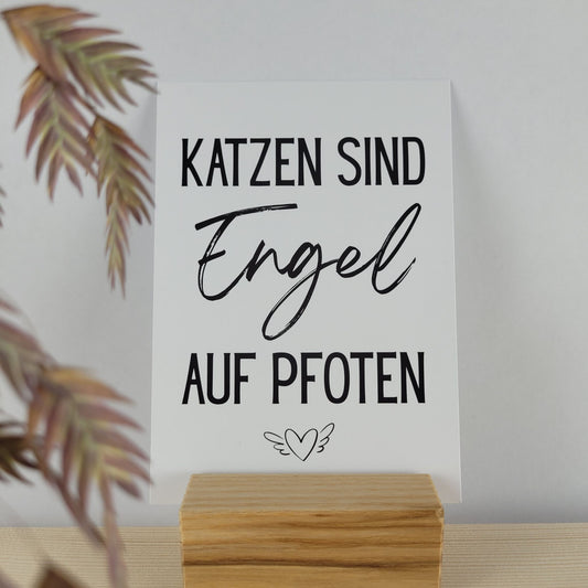 Katzen sind Engel Postkarte