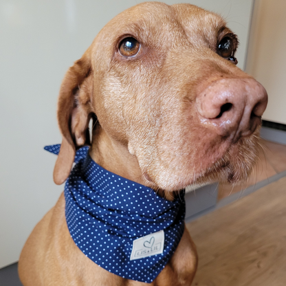 Halstuch für Hunde "Meerespünktchen"