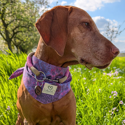 Halstuch für Hunde "Lila Zauberblüte"