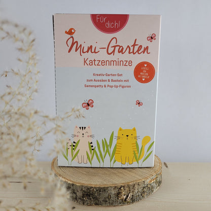Mini-Garten Katzenminze