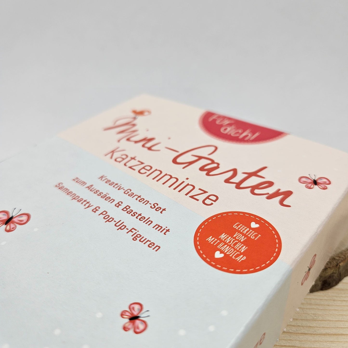 Mini-Garten Katzenminze