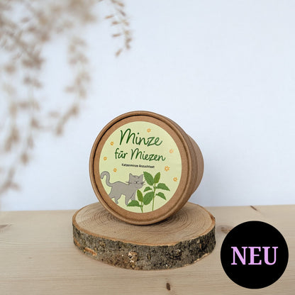 Minze für Miezen