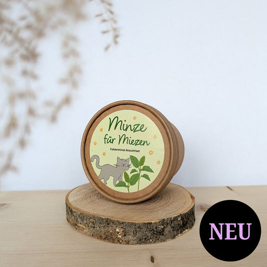 Minze für Miezen