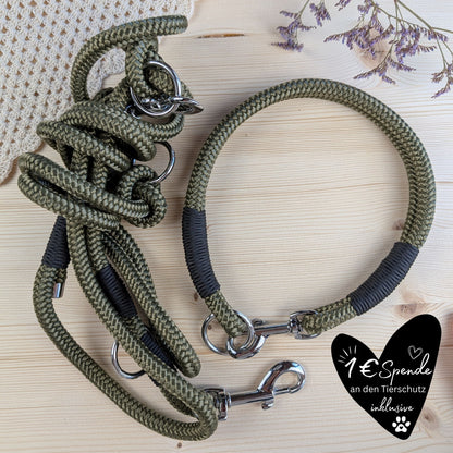 SET aus Leine und Halsband olivgrün - schwarz