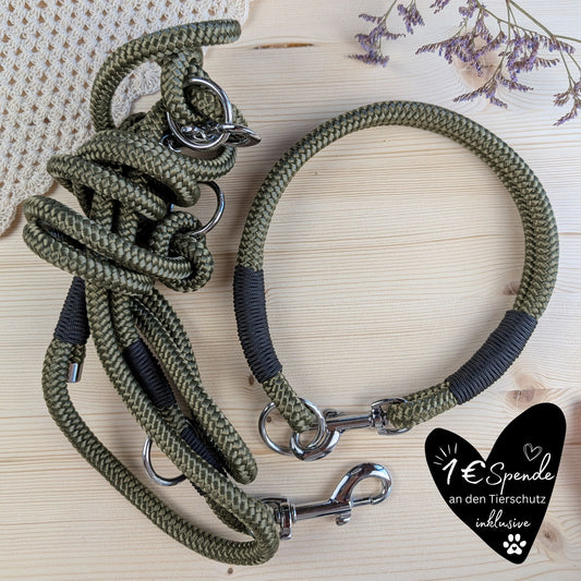 SET aus Leine und Halsband olivgrün - schwarz