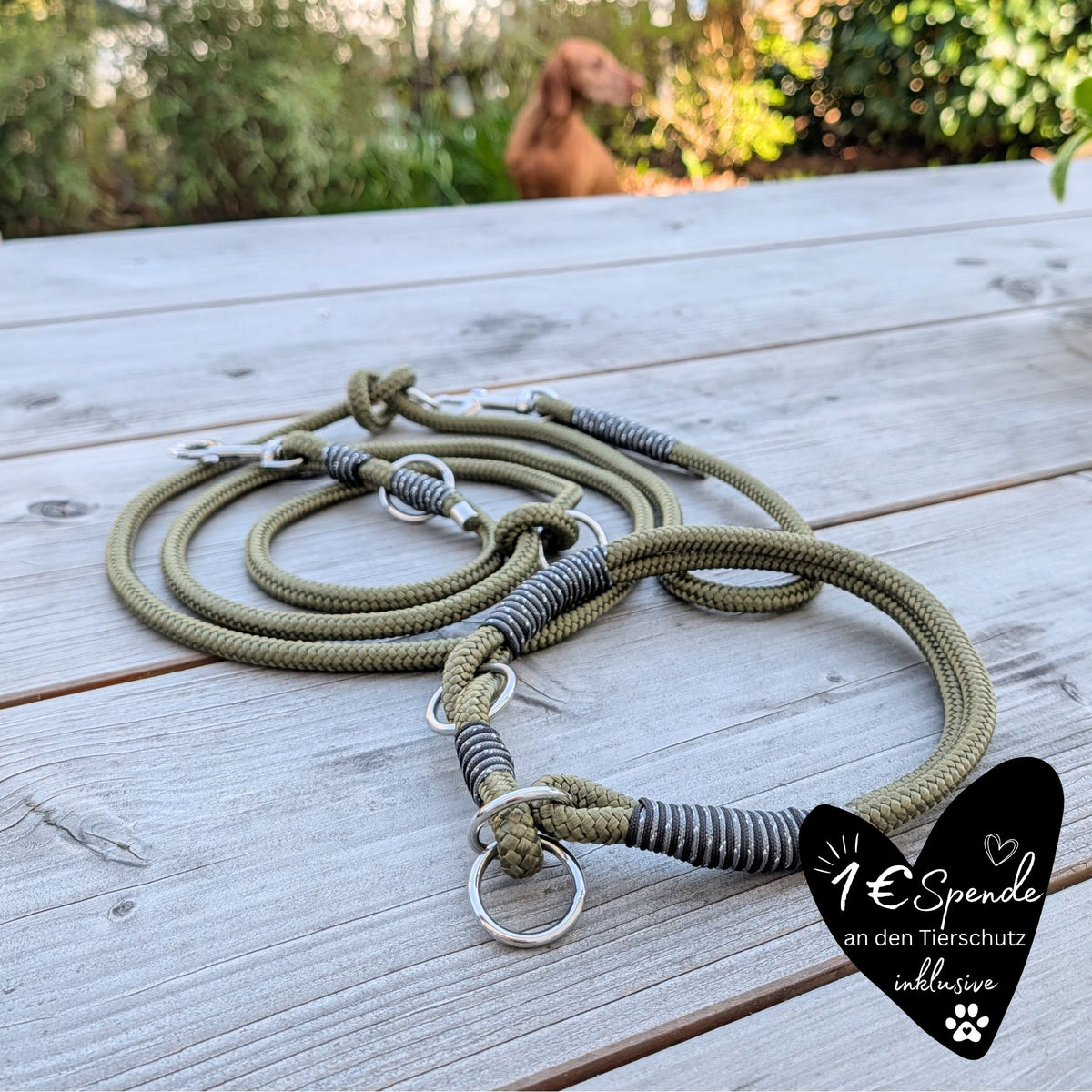 SET aus Leine und Halsband olivgrün - schwarz/silber