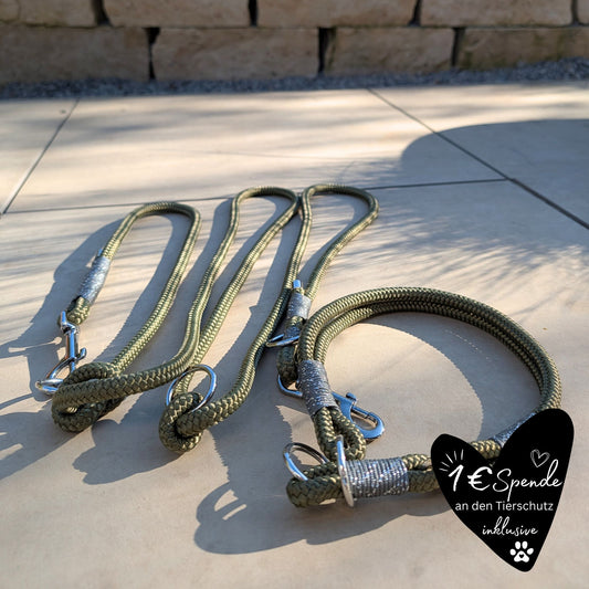 SET aus Leine und Halsband olivgrün - silber