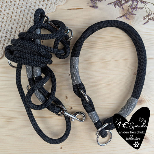 SET aus Leine und Halsband schwarz - silber