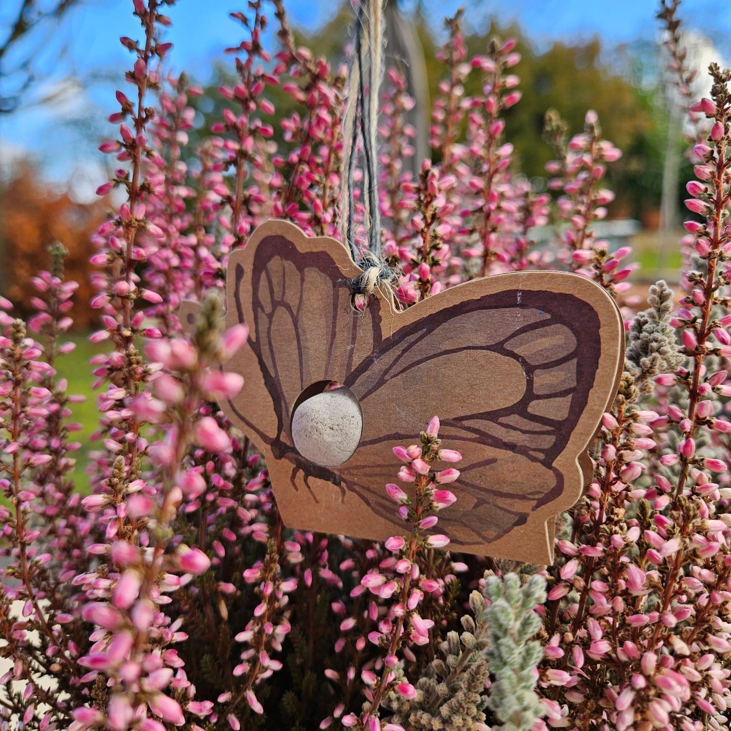 Schmetterling Saatbombe