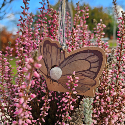 Schmetterling Saatbombe
