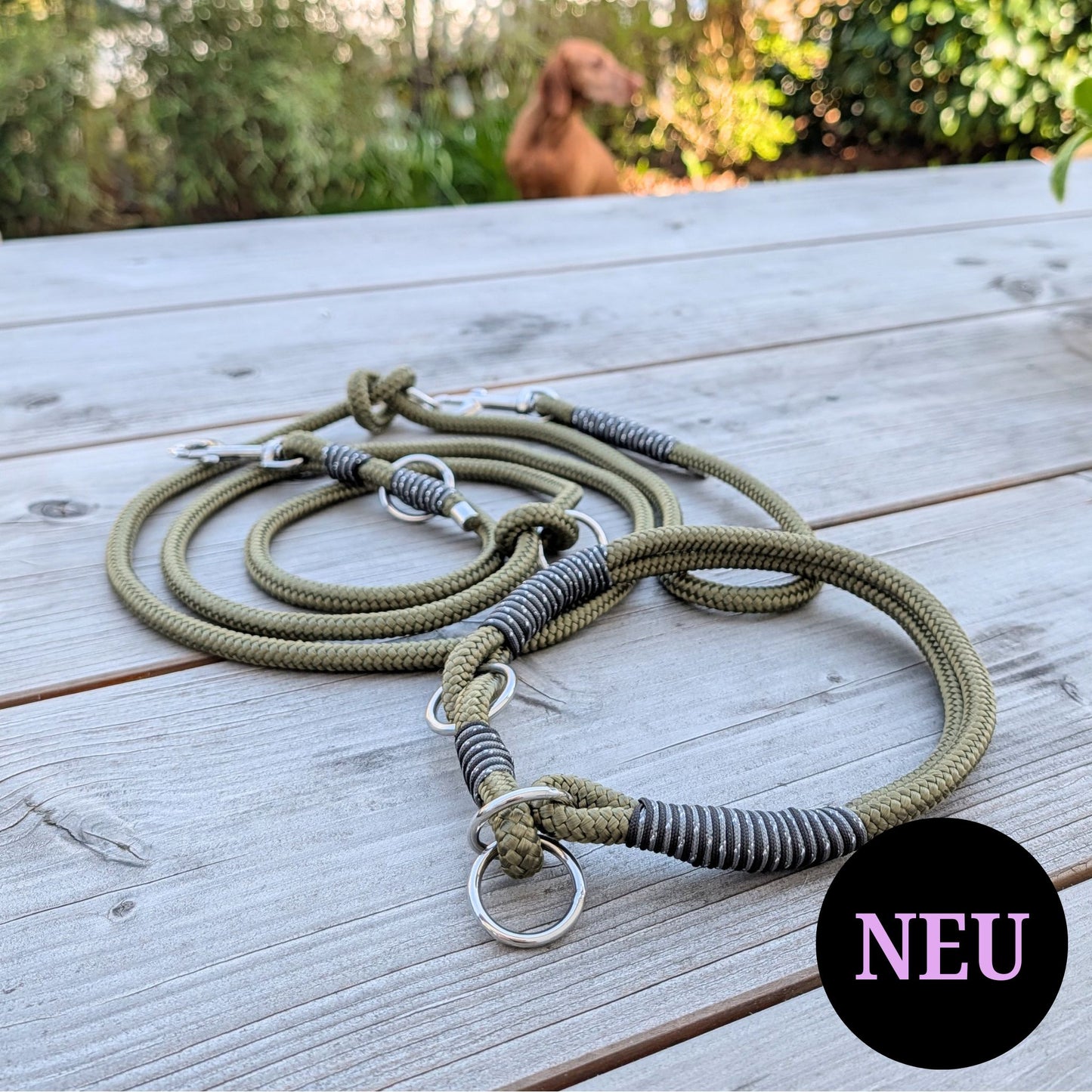 SET aus Leine und Halsband olivgrün - schwarz/silber